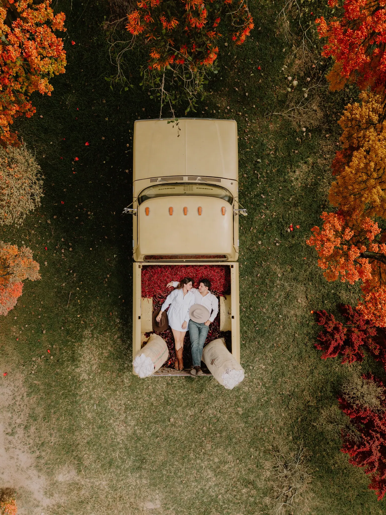 Fotografía aérea de la pareja en una camioneta rodeada de árboles